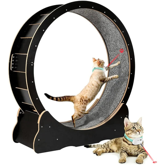 Cat Exercise Wheel for Indoor Cats Pets