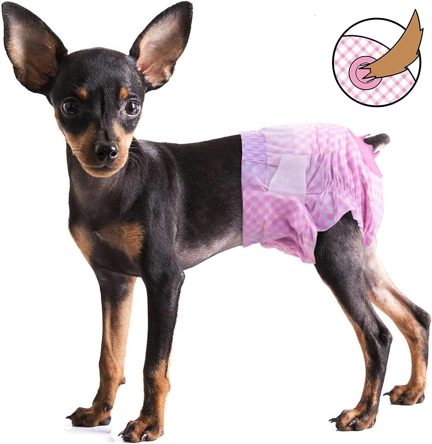 Dog Diapers Female - Disposable Dog Diapers