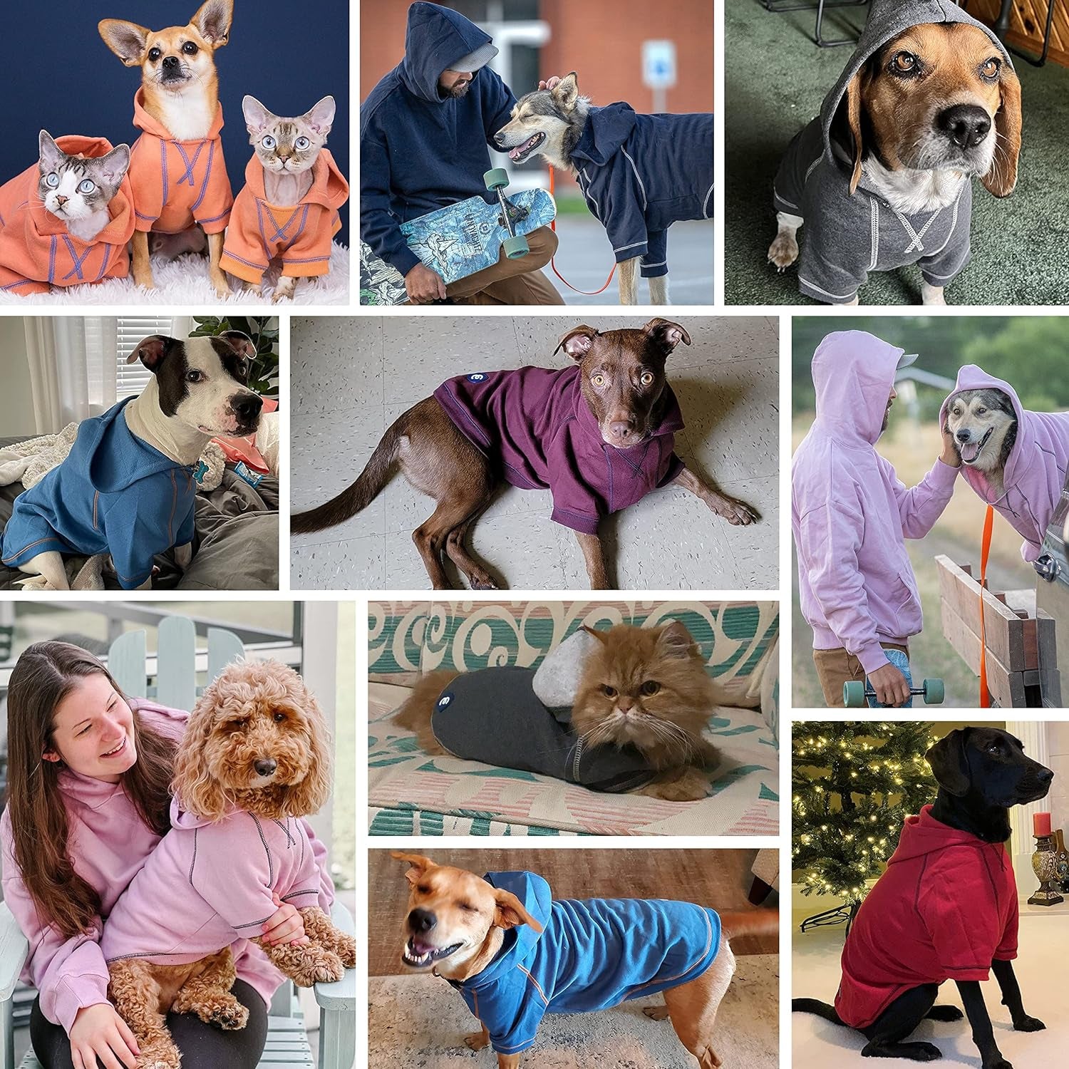 Essentials Soft & Comfy Better Basic Cotton Blend Dog Hoodie Sweatshirt