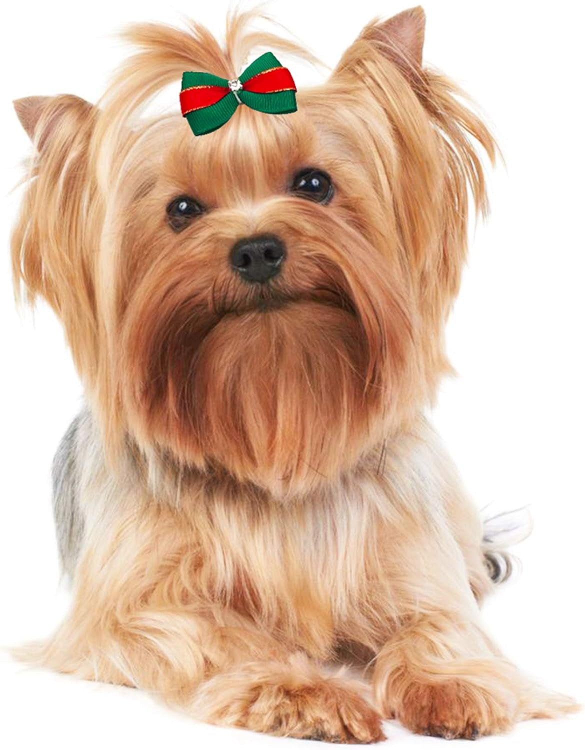 Christmas Dog Hair Bows with Rubber Bands for Small Medium Dogs 