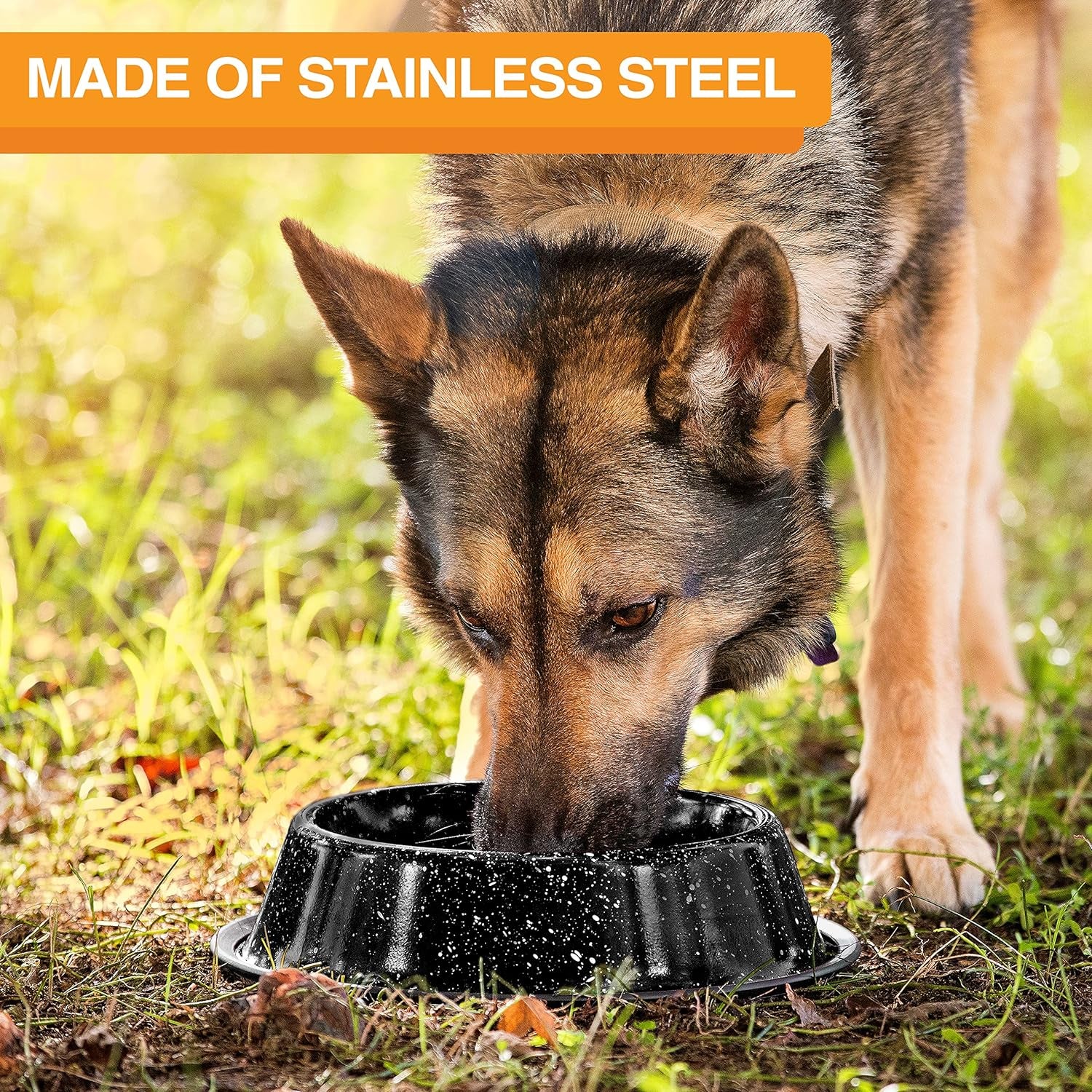 - Outdoor Camping Style Pet Bowl 