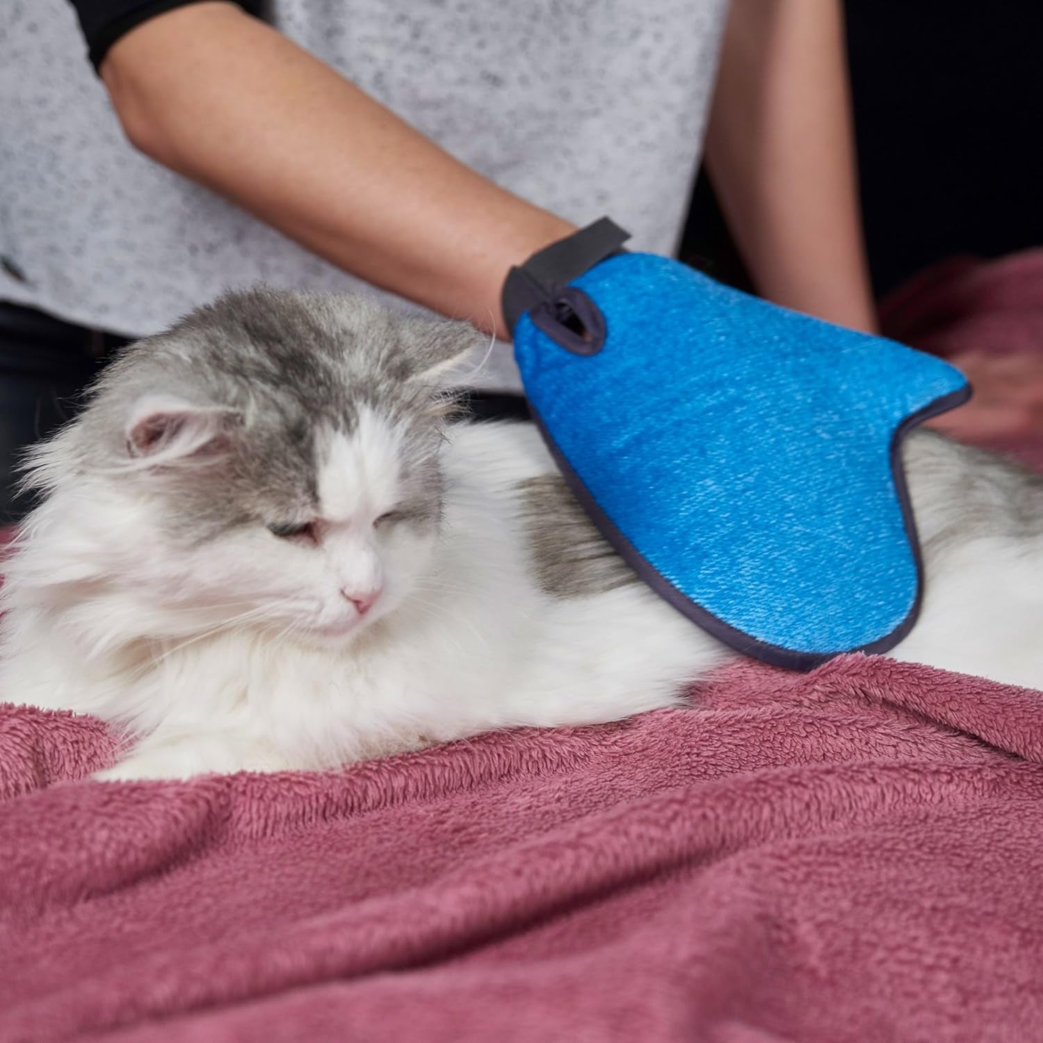 2-In-1 Pet Glove: Grooming Tool + Furniture Pet Hair Remover Mitt