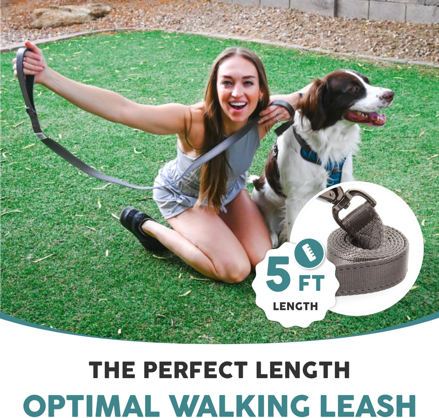 Embark Adventure Dog Leashes - Colorful, Strong and Sturdy Nylon Dog Leashes for Small Dogs, 