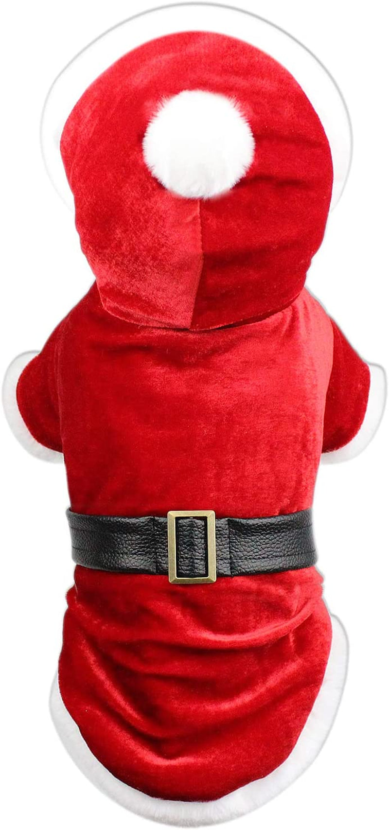 Dog Cat Pet Xmas Holiday Christmas Santa Claus Winter Hoodie