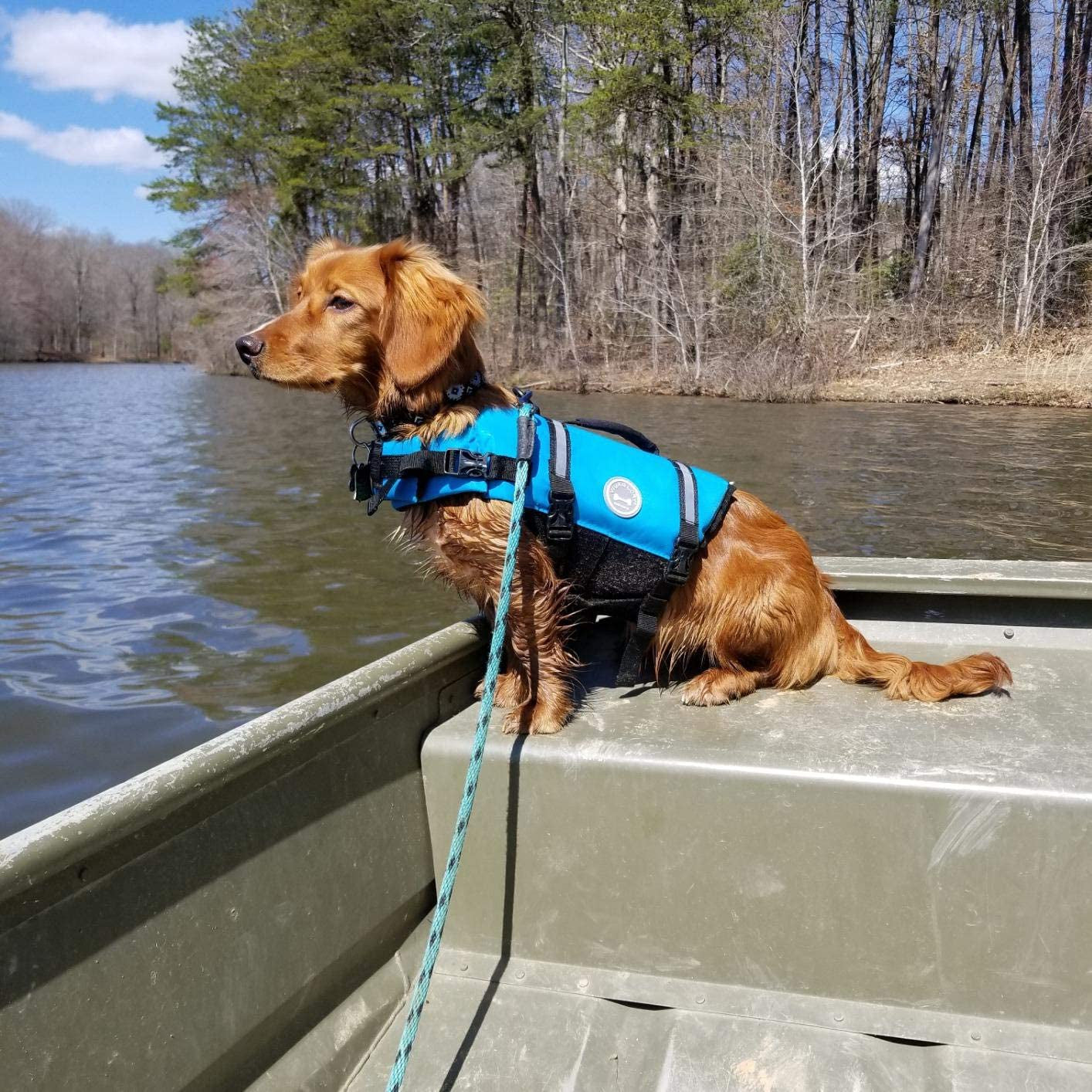  Swimming Vest for Dogs with Enhanced Visibility & Buoyancy