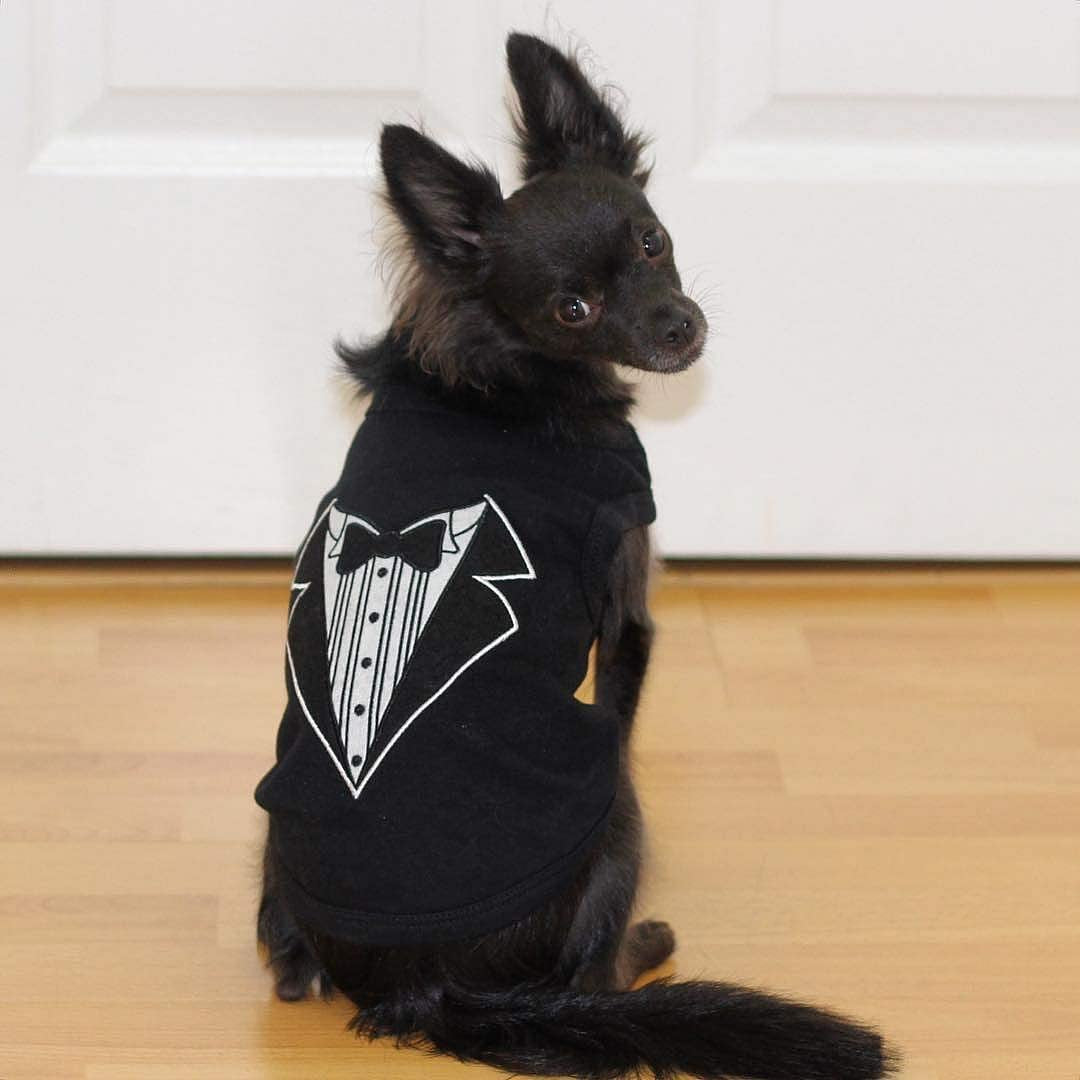 Tuxedo Dog T-Shirt.