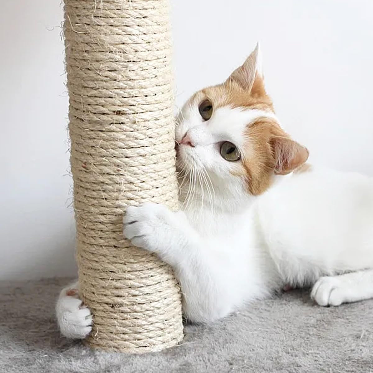 Cats Sisal Rope 32.8 Feet(10M) Cat Scratching Post Replacement Hemp Rope for Repairing Recovering 