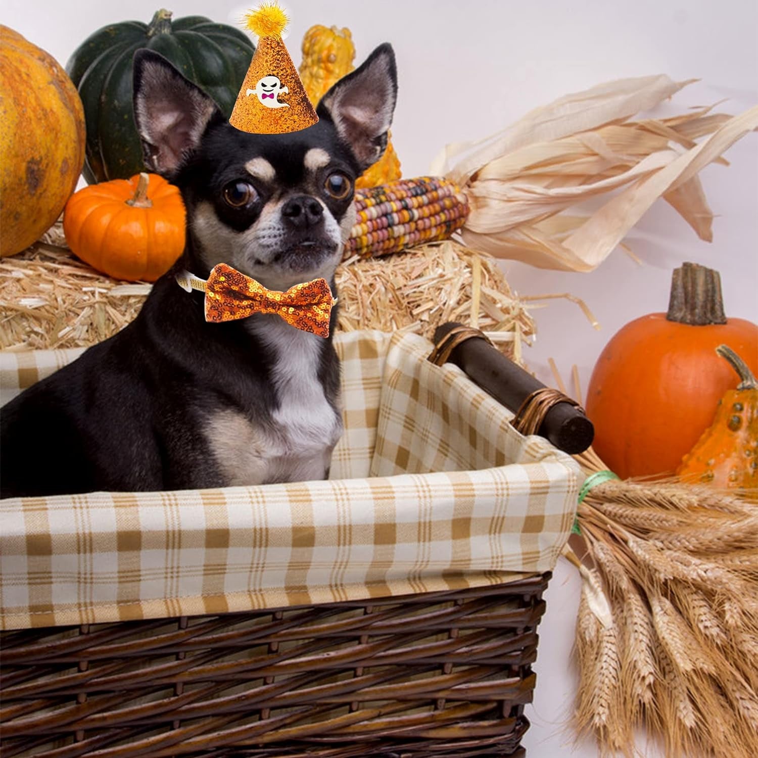 Halloween Small Dogs Hats and Bowties Sets Orange Black Ghost Holiday Cat Party Hat 