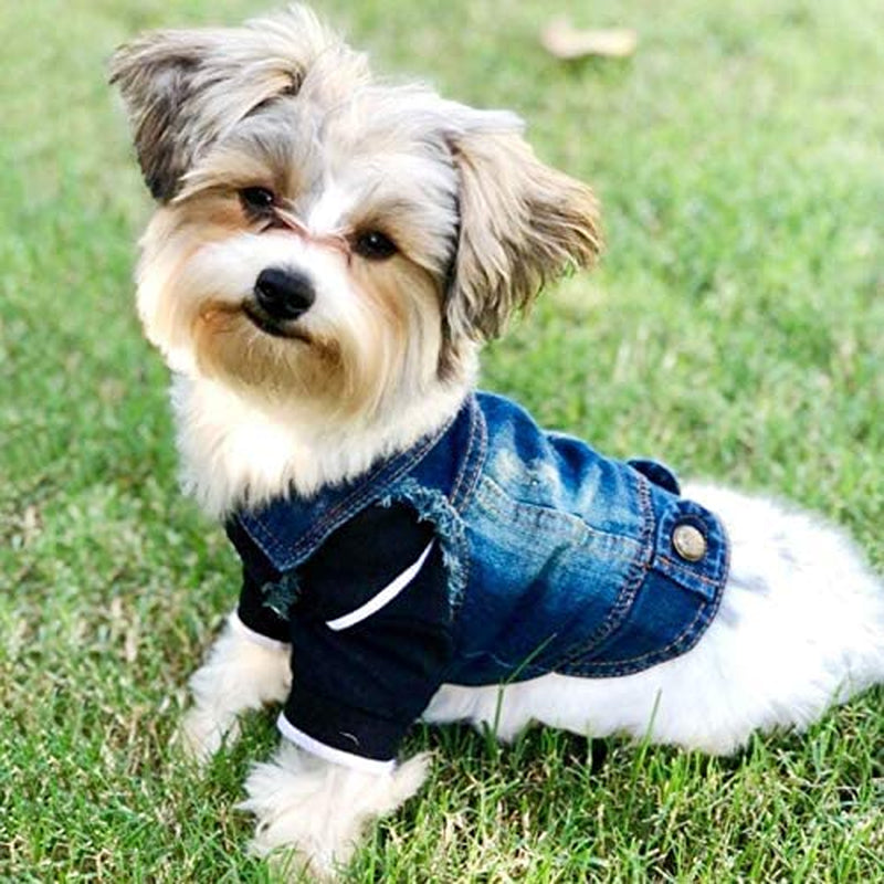  Denim Cute Pet Dog Puppy Coat Jacket Clothes Costume Apparel Hoodies