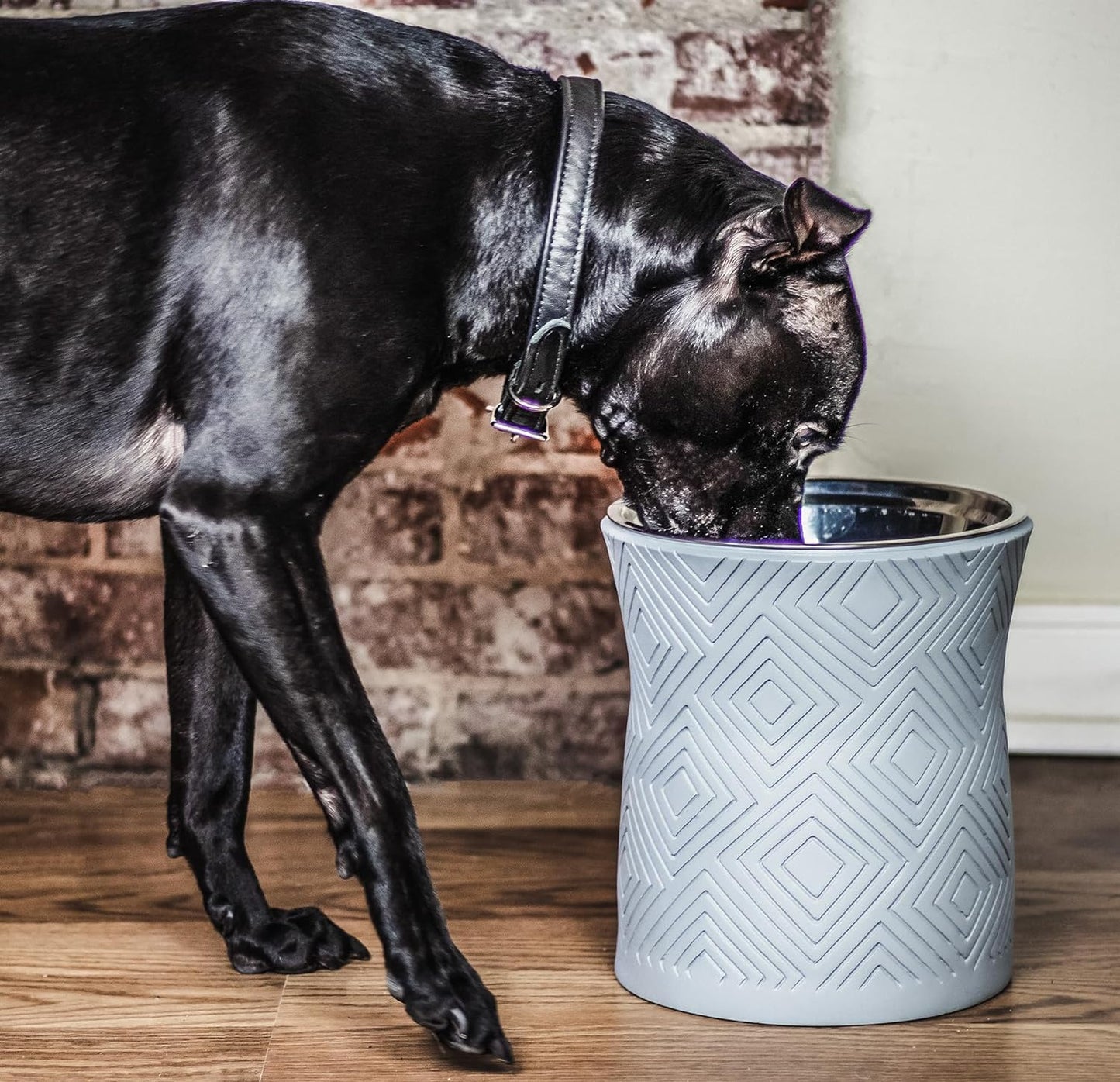 Single Elevated Dog Bowl for Dry Food or Water with Stainless Steel Washable 