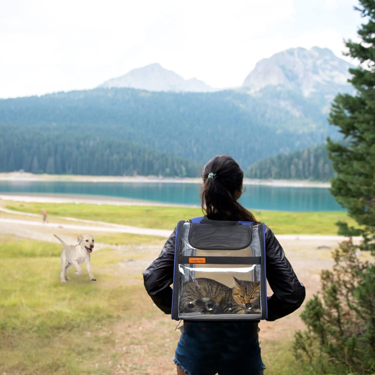 Expandable Cat Carrier Backpack - Pet Carrier Backpack Airline Approved