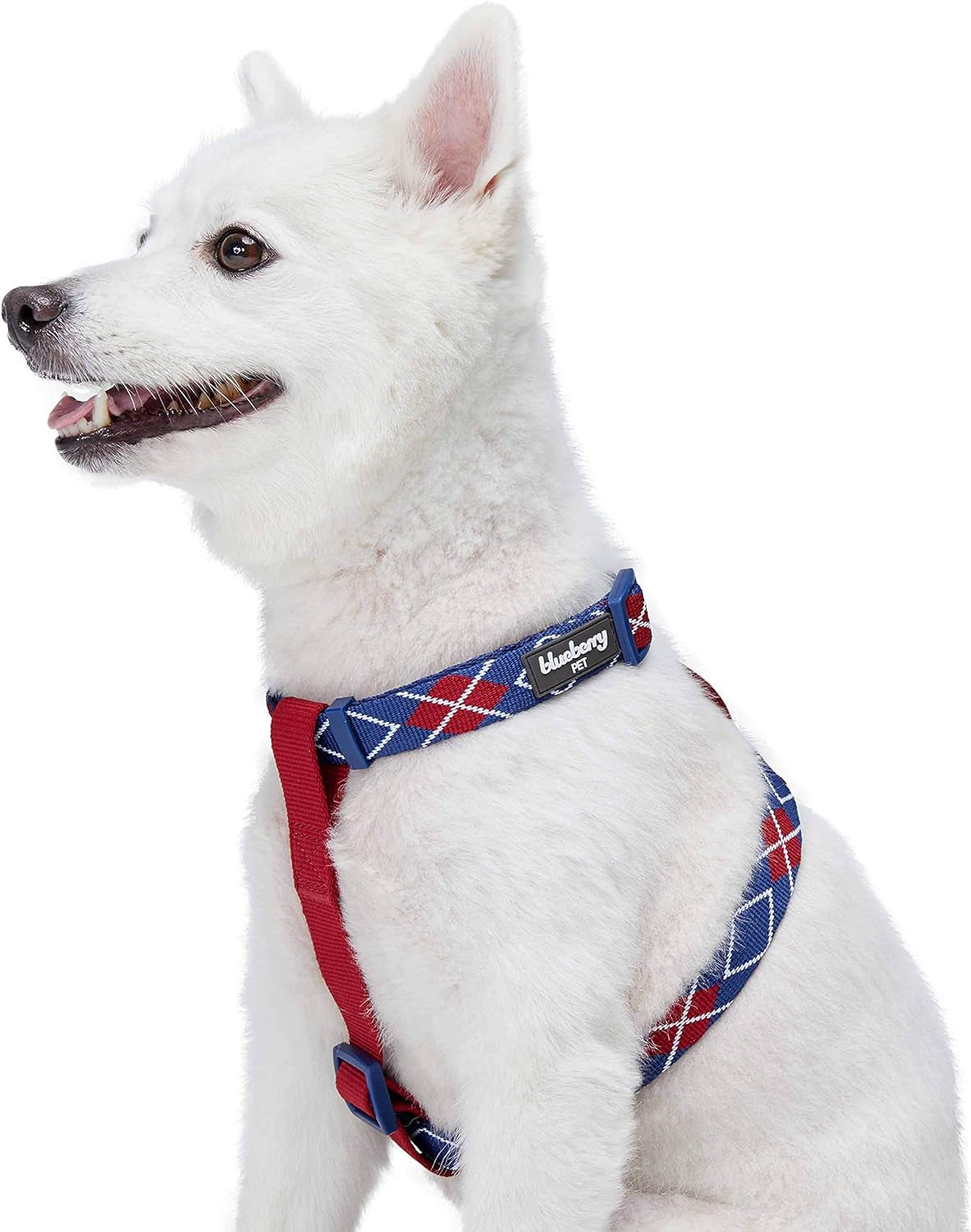 Scottish Argyle Dog Harness, Royal Blue, Small, Adjustable Harnesses for Dogs