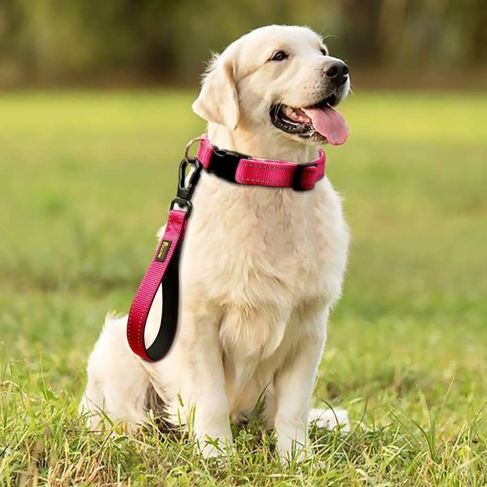 Short Dog Leash for Large Dogs with Locking Carabiner Clip & Padded Handle.