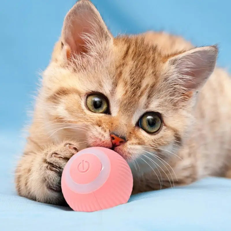 Rechargeable Cat Ball Toy Smart Automatic Rolling Kitten Toys 360 Degree Spinning Ball