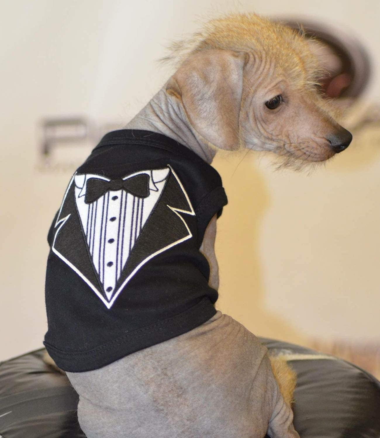 Tuxedo Dog T-Shirt.