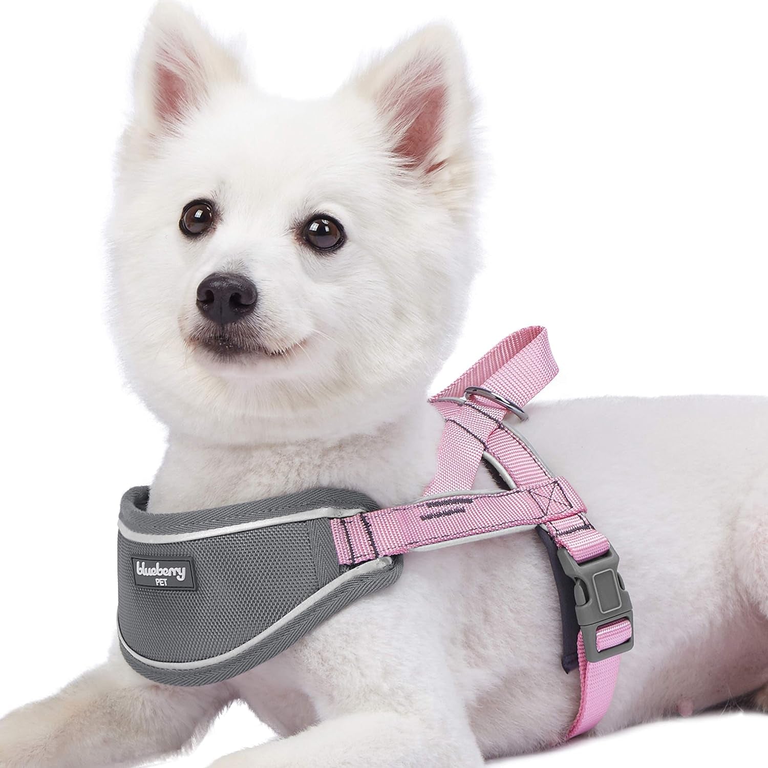  Soft & Comfy 3M Reflective Strips Padded Dog Harness Vest, Chest Girth 