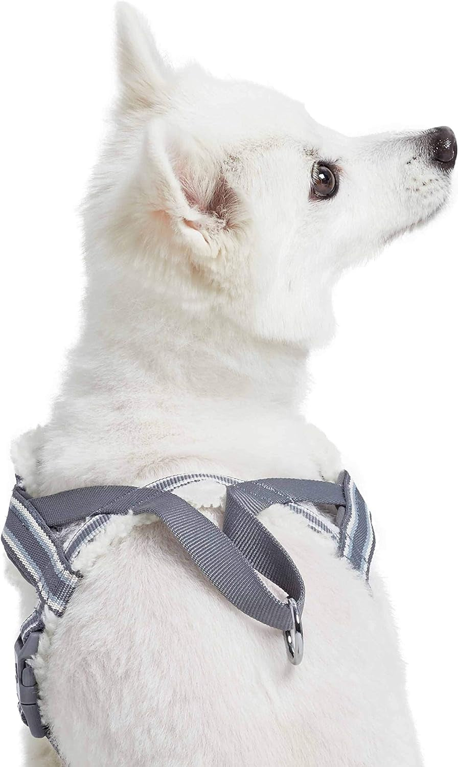 Soft & Comfy Multi-Colored Stripe Fleece Padded Chest Dog Harness,