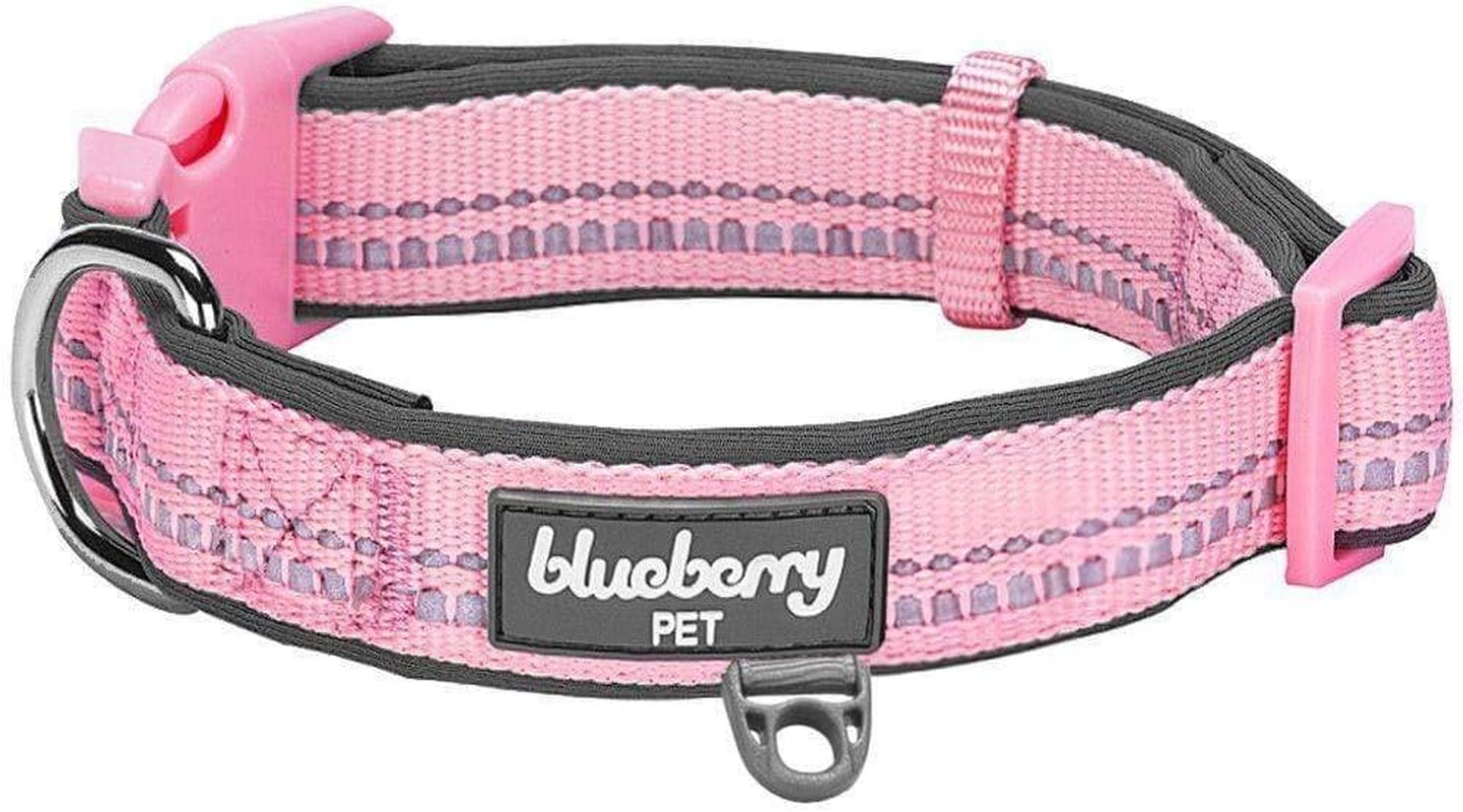 Soft & Safe 3M Reflective Neoprene Padded Adjustable Dog Collar 