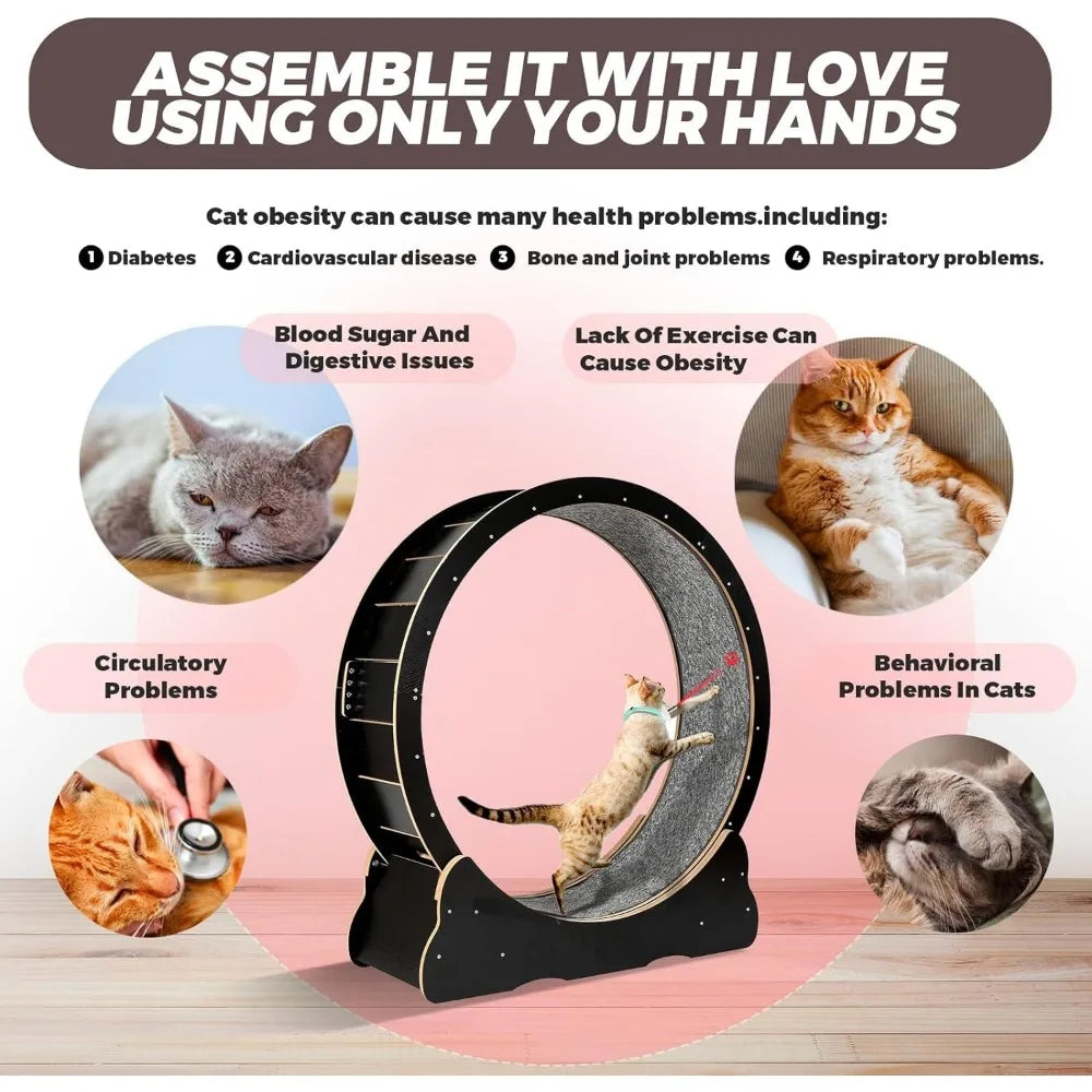 Cat Exercise Wheel for Indoor Cats Pets