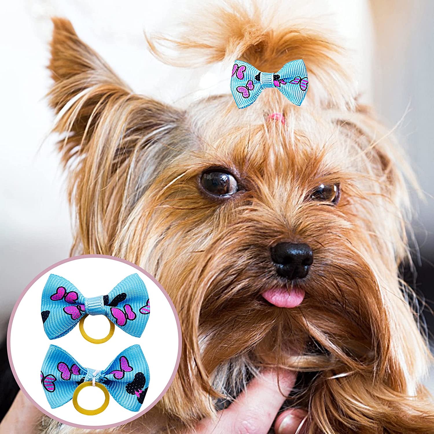 Pet Dog Hair Bows with Rubber Bands Cat Puppy Grooming Hair Accessories