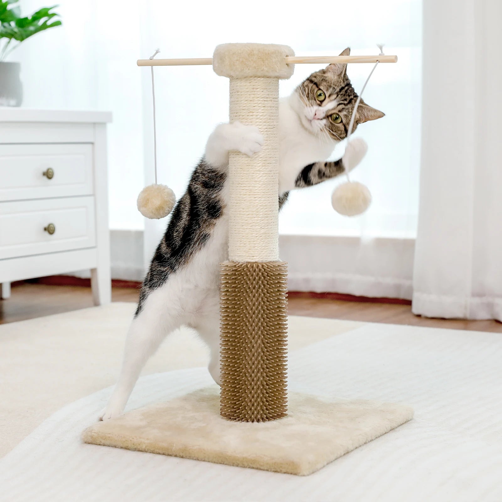 Small Cat Scratching Post with Grooming Brush and Fluffy Detachable Ball