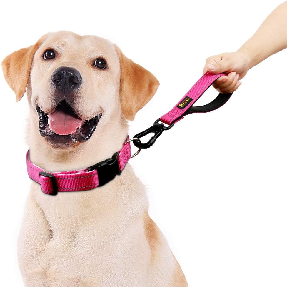 Short Dog Leash for Large Dogs with Locking Carabiner Clip & Padded Handle.