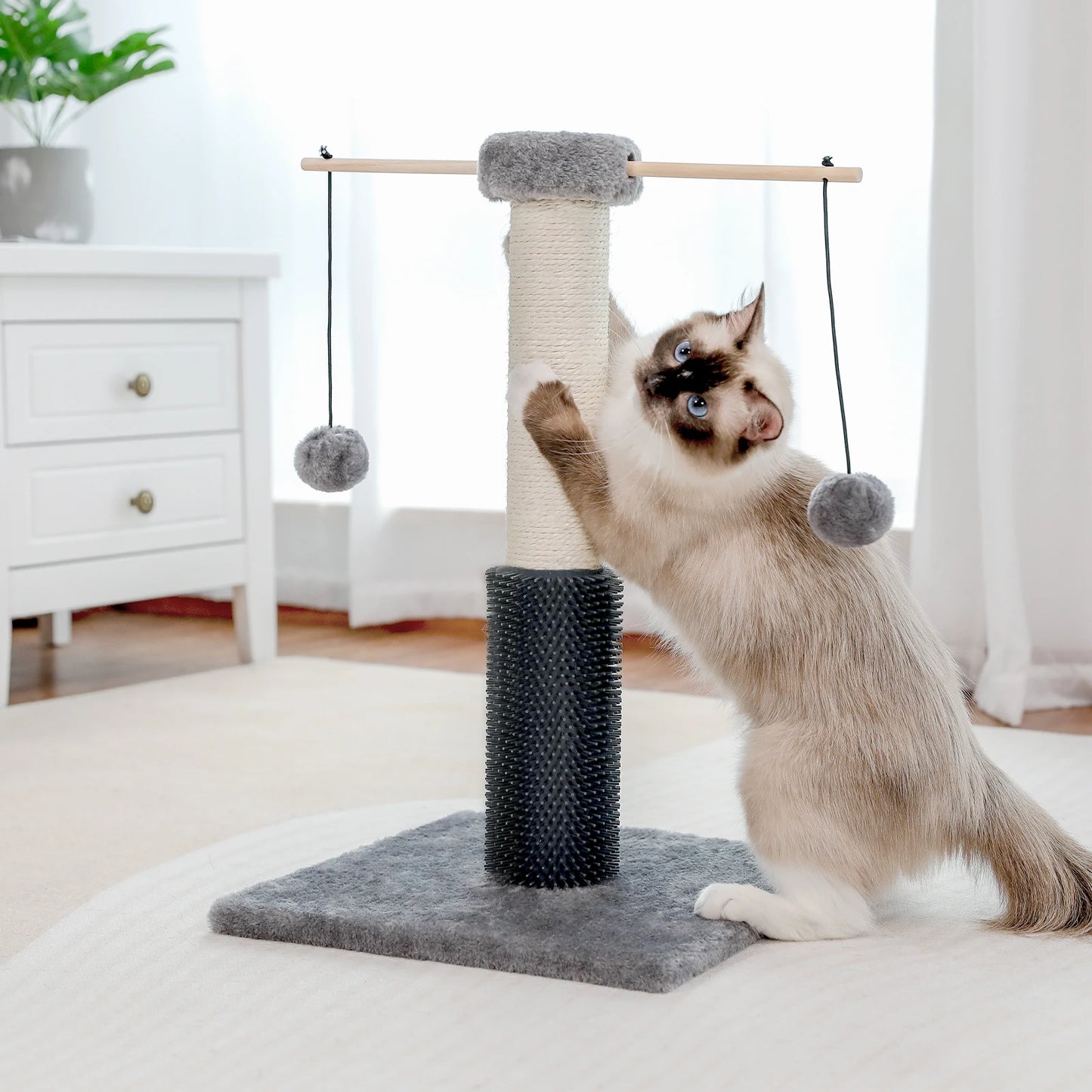 Small Cat Scratching Post with Grooming Brush and Fluffy Detachable Ball