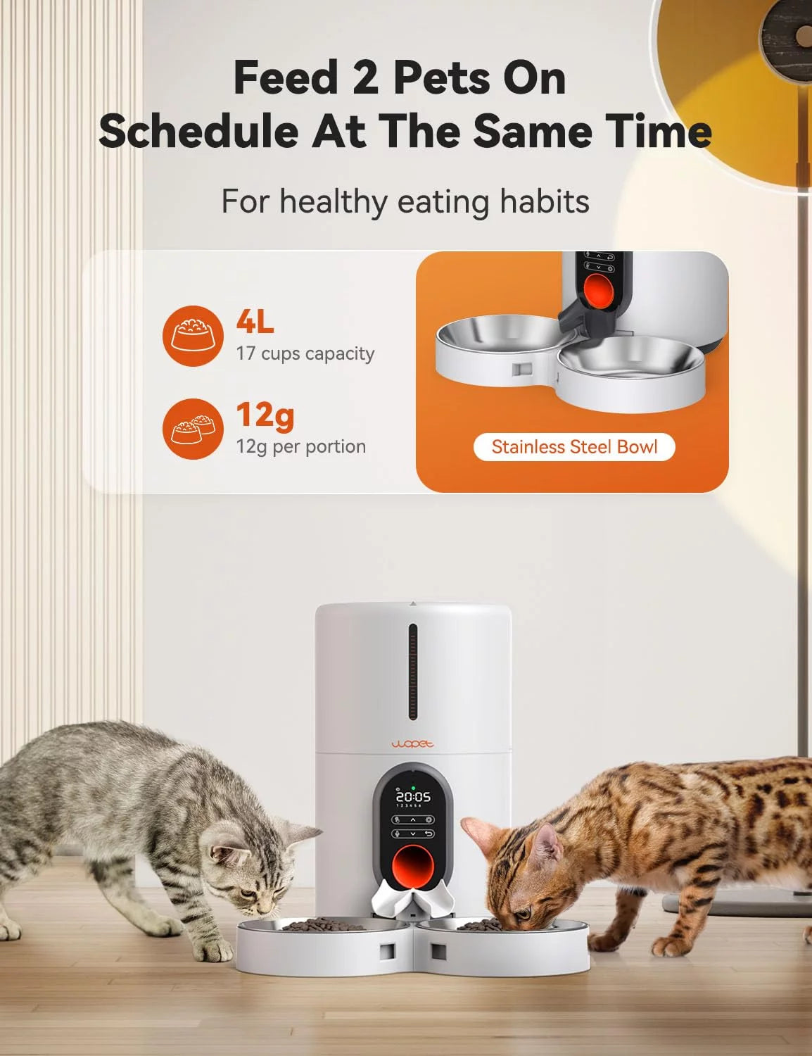 Automatic Cat Feeders for 2 Cats 