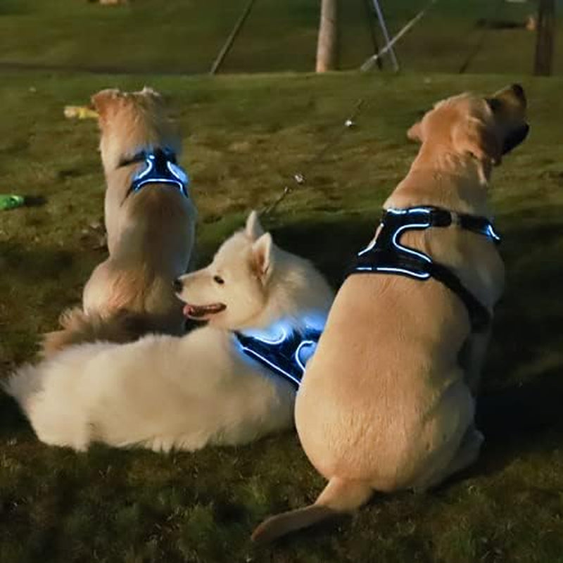 No Pull Dog Harness,  Light up Dog Harness.