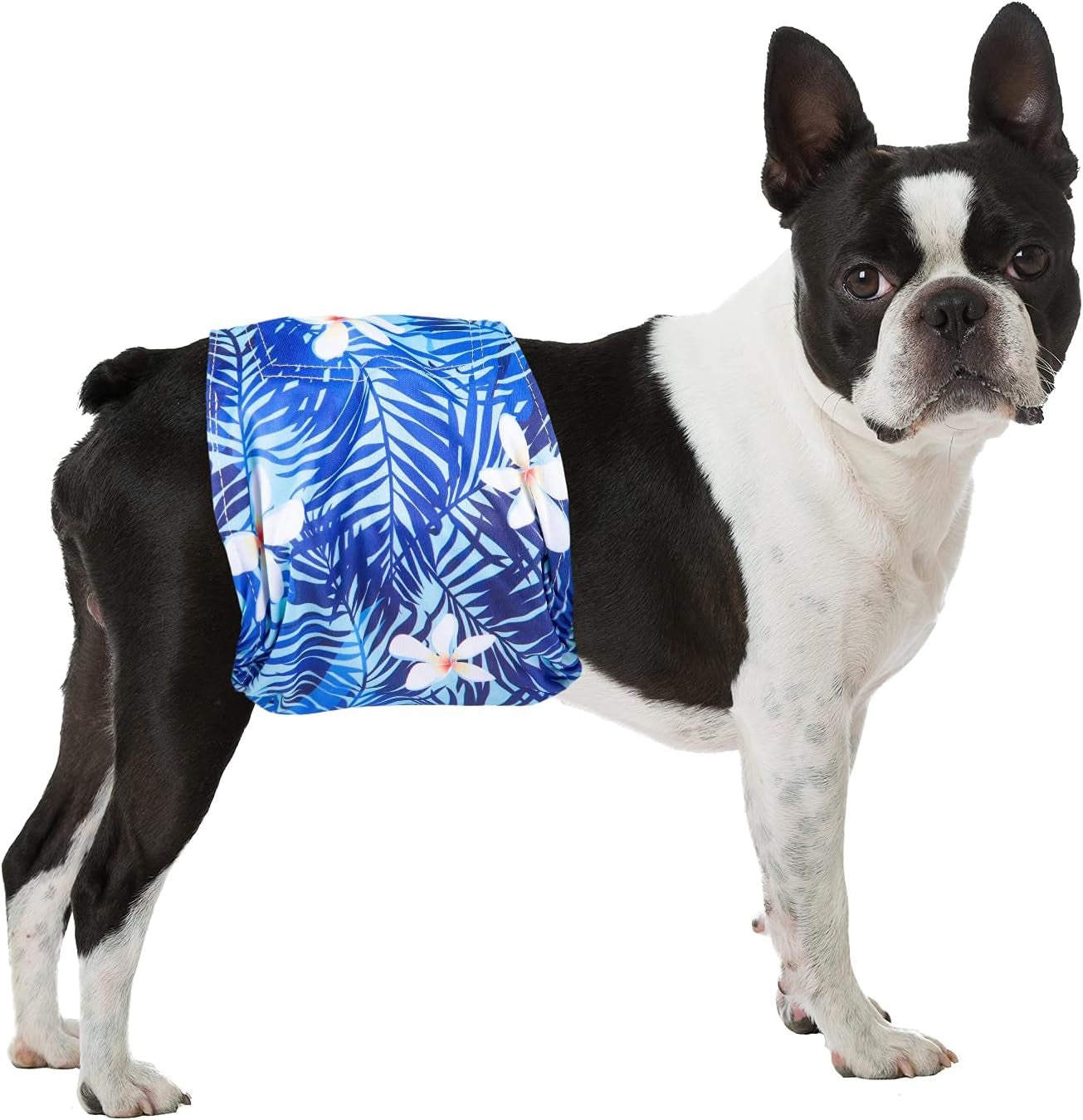 Dog Belly Bands - Washable Male Dog Diapers Belly Band for Male Dogs