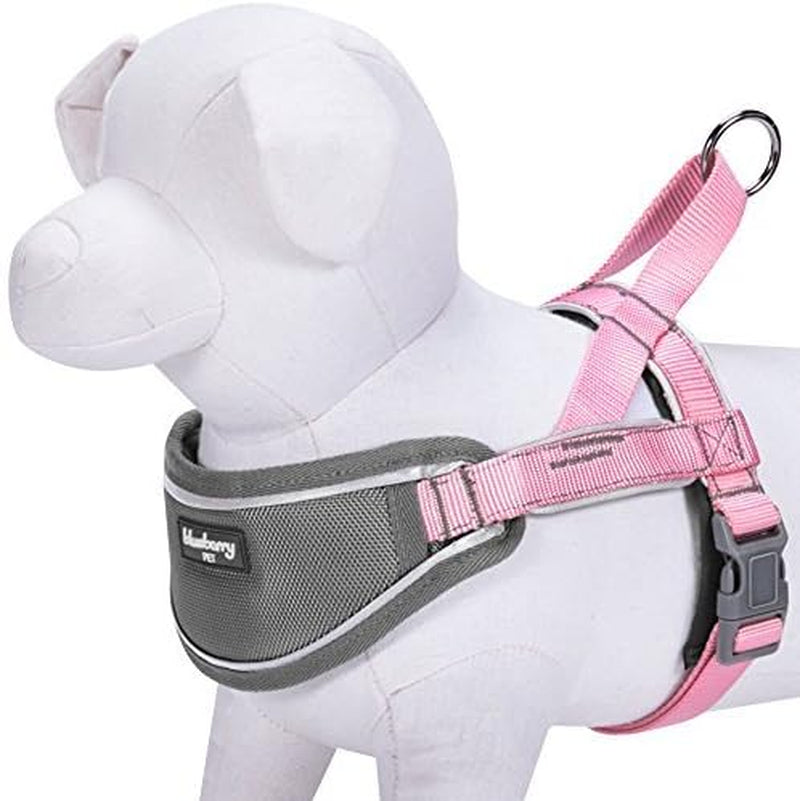  Soft & Comfy 3M Reflective Strips Padded Dog Harness Vest, Chest Girth 