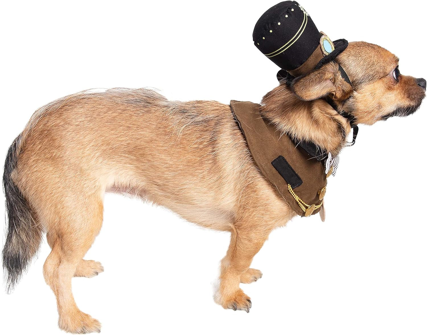 Steampunk Small Dog & Cat Costume Hat and Collar Set - Perfect for Halloween