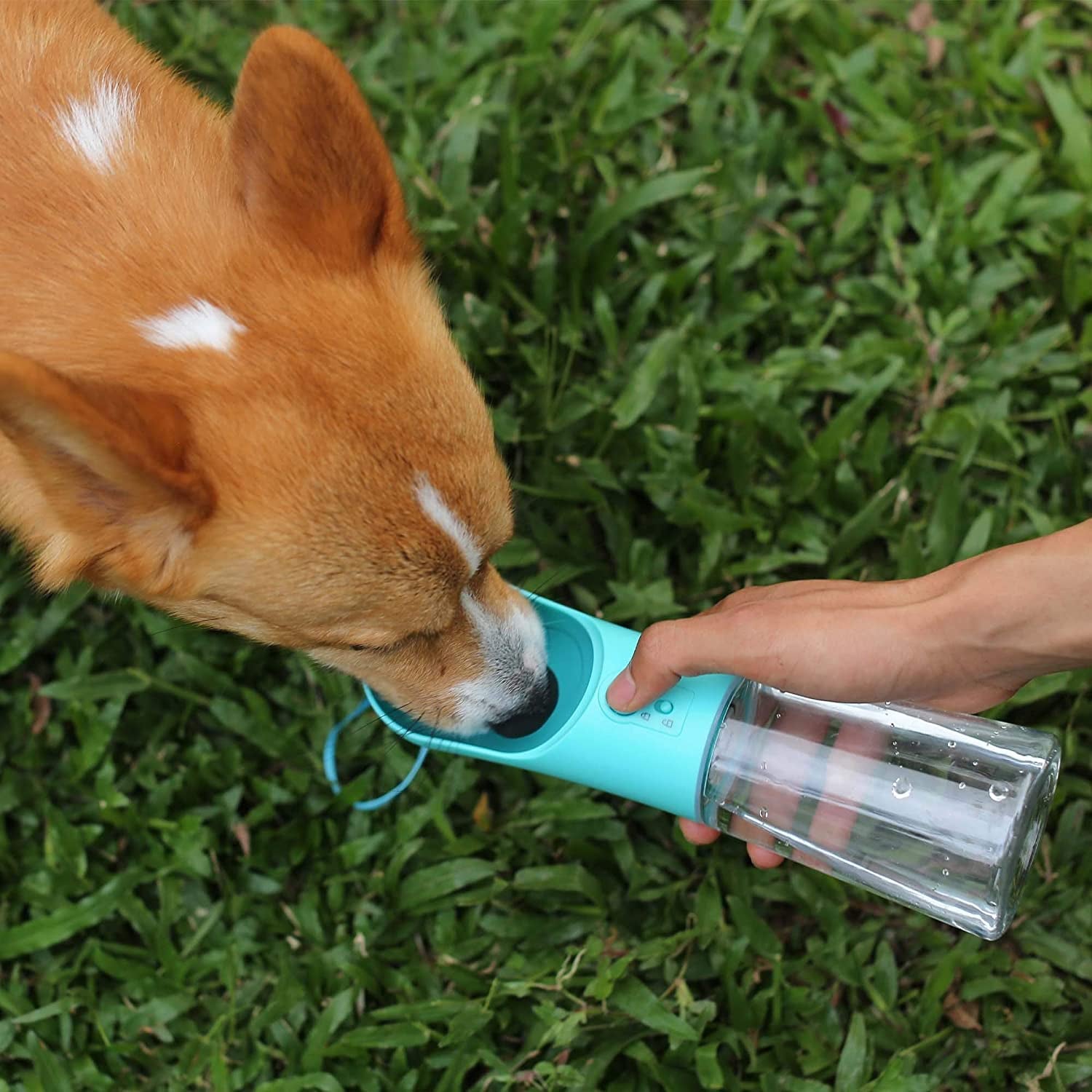 Dog Water Bottle Portable Pet Water Bottle Leak Proof Dog Water Dispenser, Lightweight Dog Travel Water Bottle Bowl for Walking 400Ml (Blue)