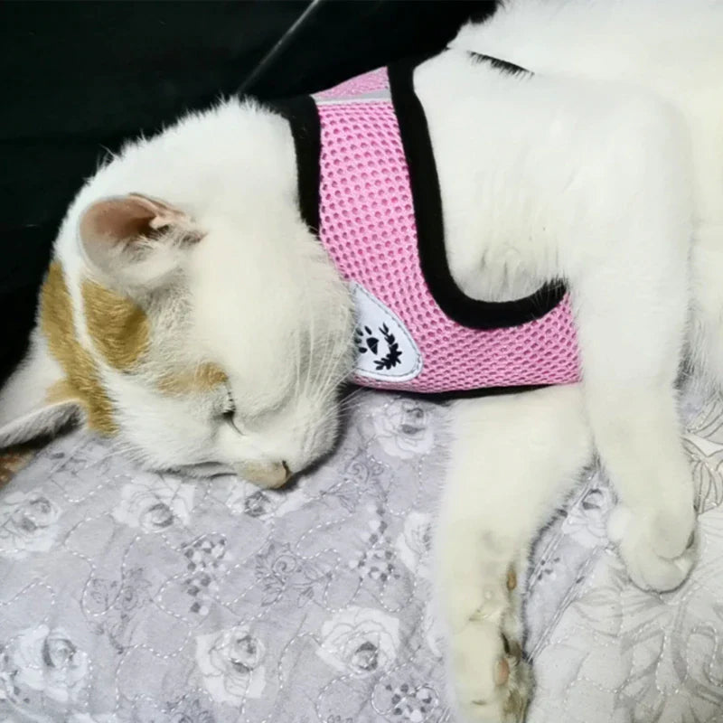 Cat Dog Pet Harness Adjustable Control Vest Dogs Reflective