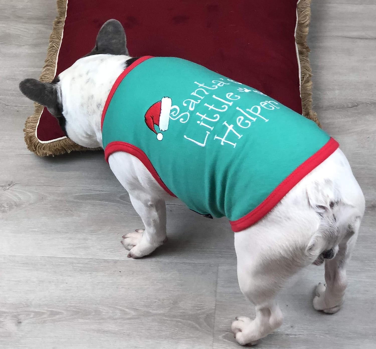 Funny Christmas Holiday Dog Cat Pet Shirts Tee Tanks - Naughty or Nice