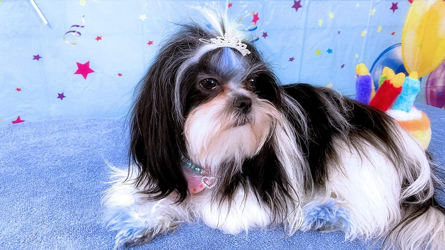  Dog Tiara Crown Hair Clips Bows for Small Dogs