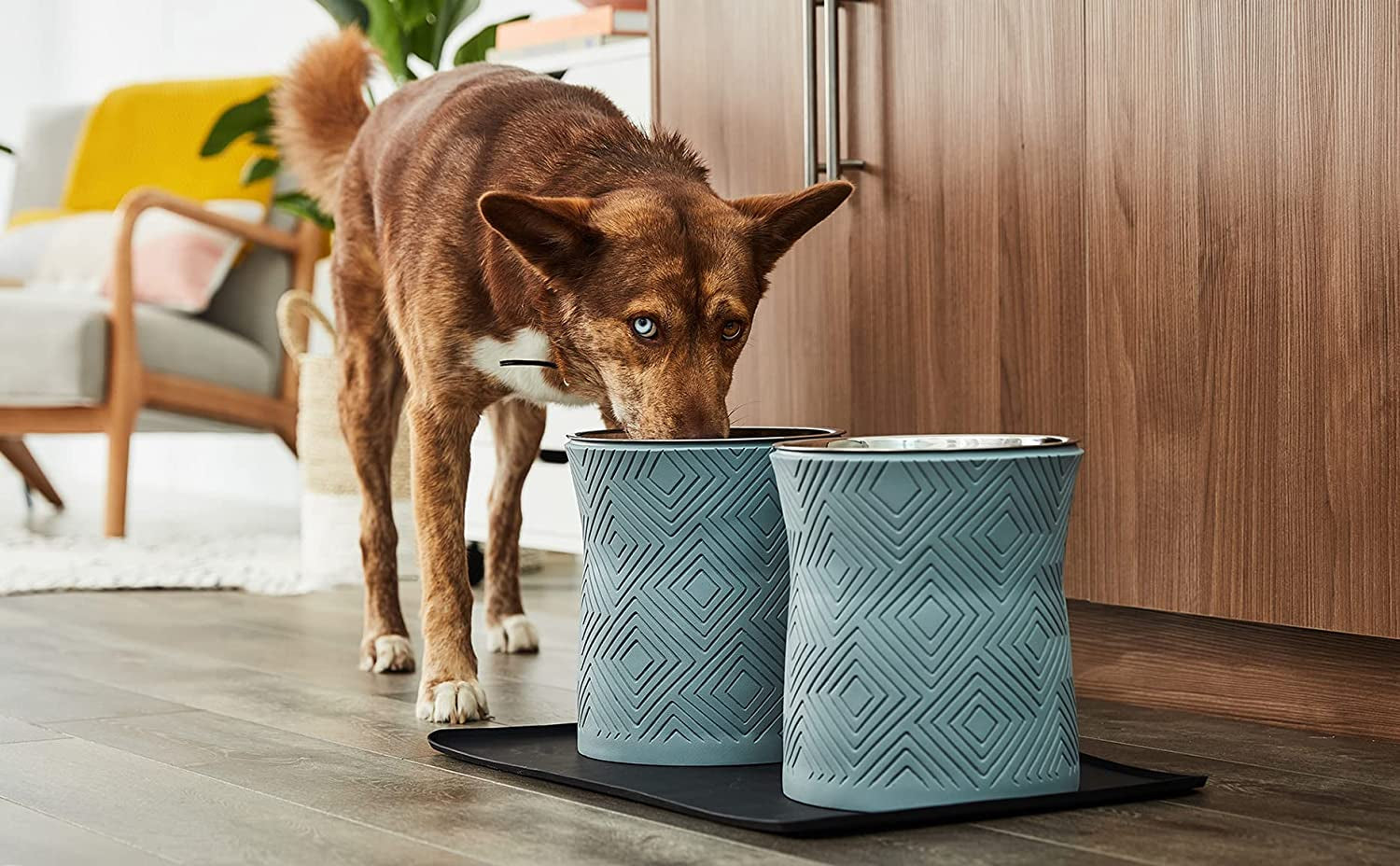 Single Elevated Dog Bowl for Dry Food or Water with Stainless Steel Washable 