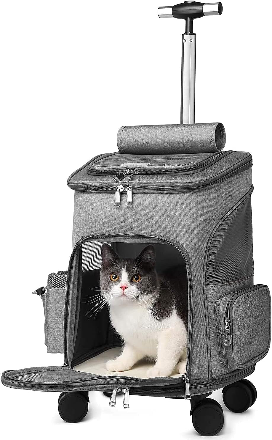 Airline Approved Pet Carrier Backpack with Wheels