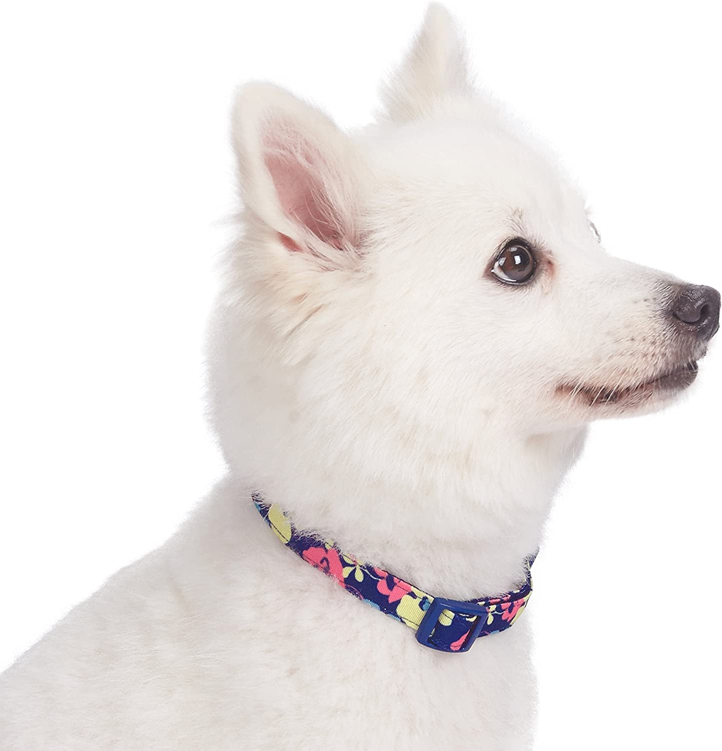 Made Well Profound Floral Print Adjustable Dog Collar