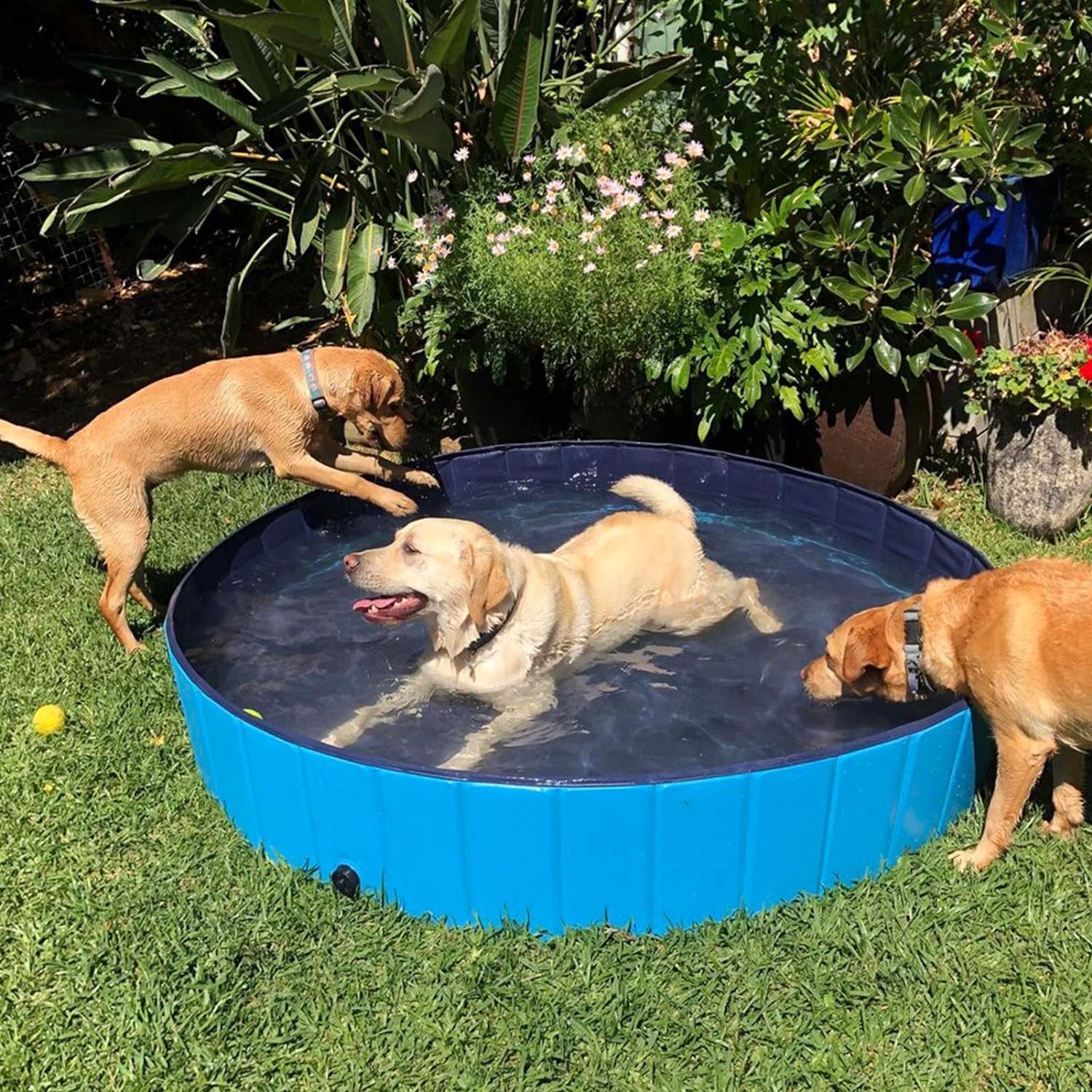 Dog Pool Foldable Pet Outdoor Swimming Pool Collapsible Anti-Slip 