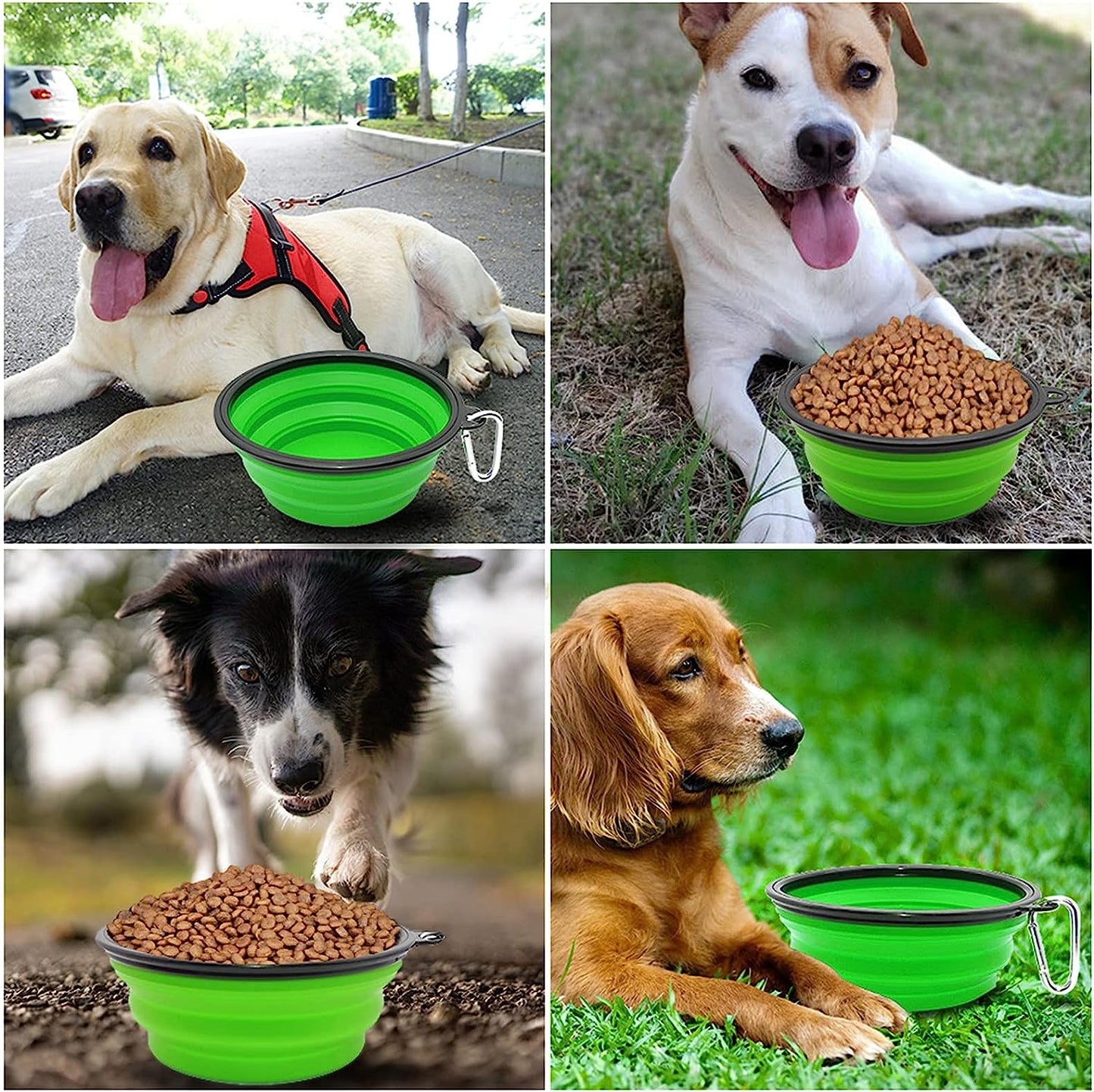 Collapsible Dog Bowl Portable Foldable Dog Travel Bowls