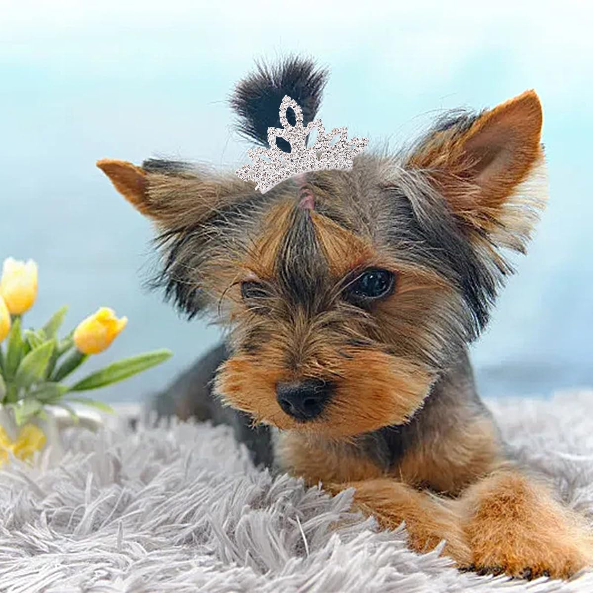  Dog Tiara Crown Hair Clips Bows for Small Dogs