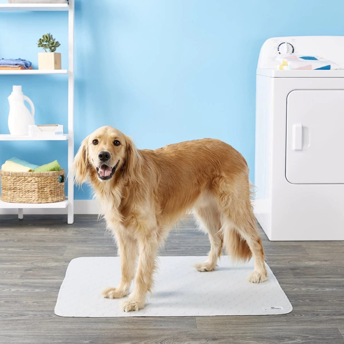 Waterproof Training Pads for Dogs & Reusable Dog Pee Pads! Whelping & Modern Puppy Pads!