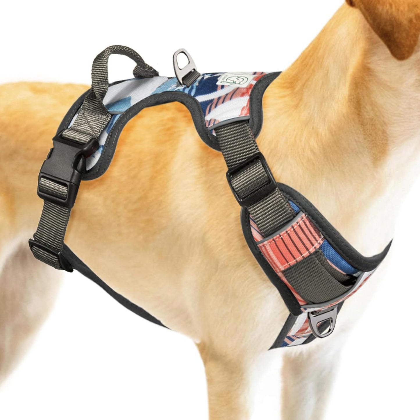 Embark Urban Dog Harness No-Pull Dog Harness for Small Dogs