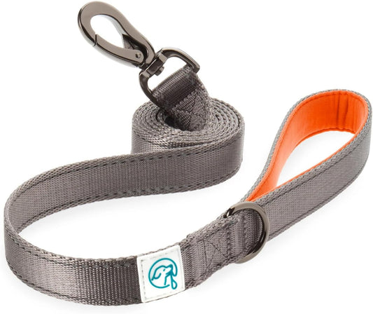 Embark Adventure Dog Leashes - Colorful, Strong and Sturdy Nylon Dog Leashes for Small Dogs, 