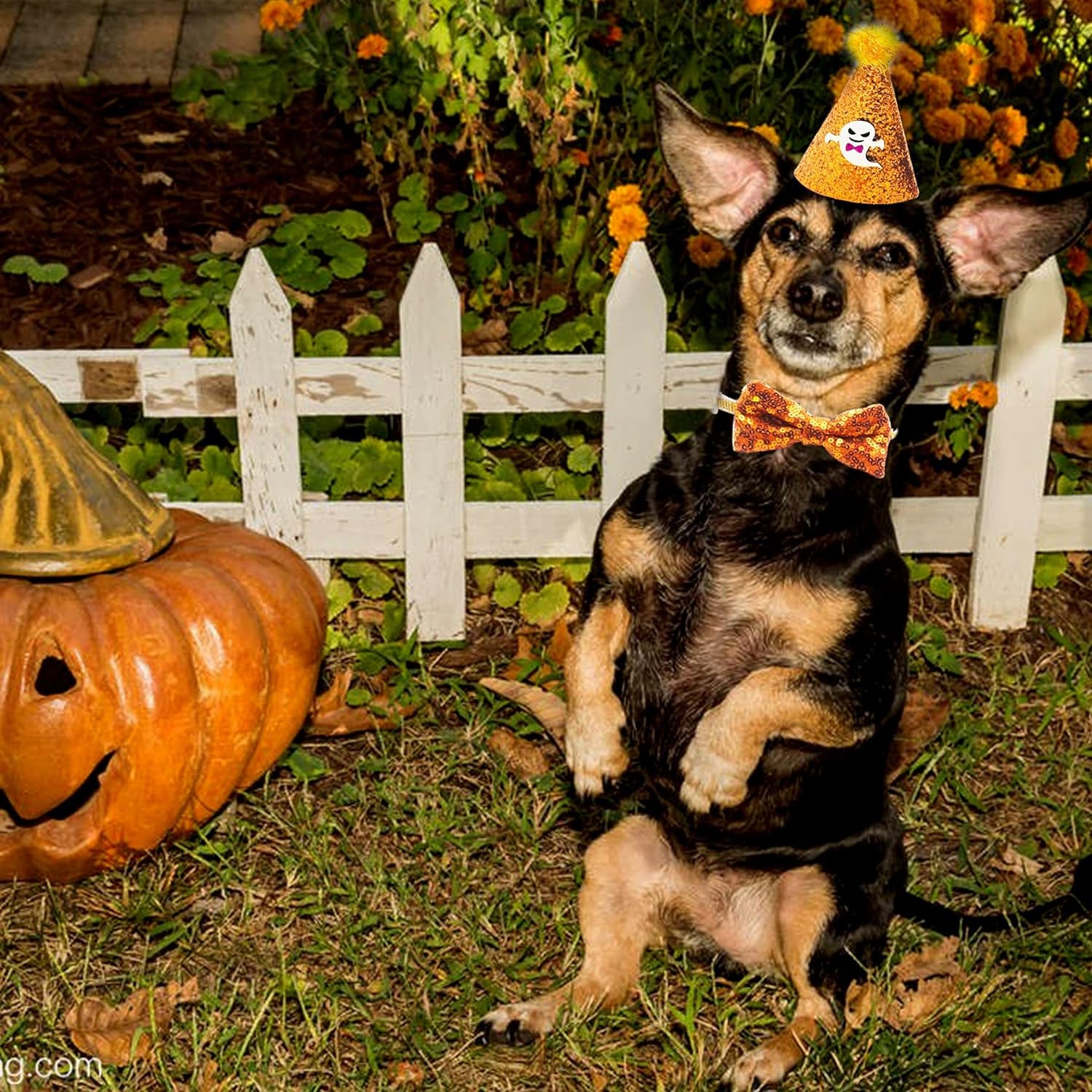 Halloween Small Dogs Hats and Bowties Sets Orange Black Ghost Holiday Cat Party Hat 